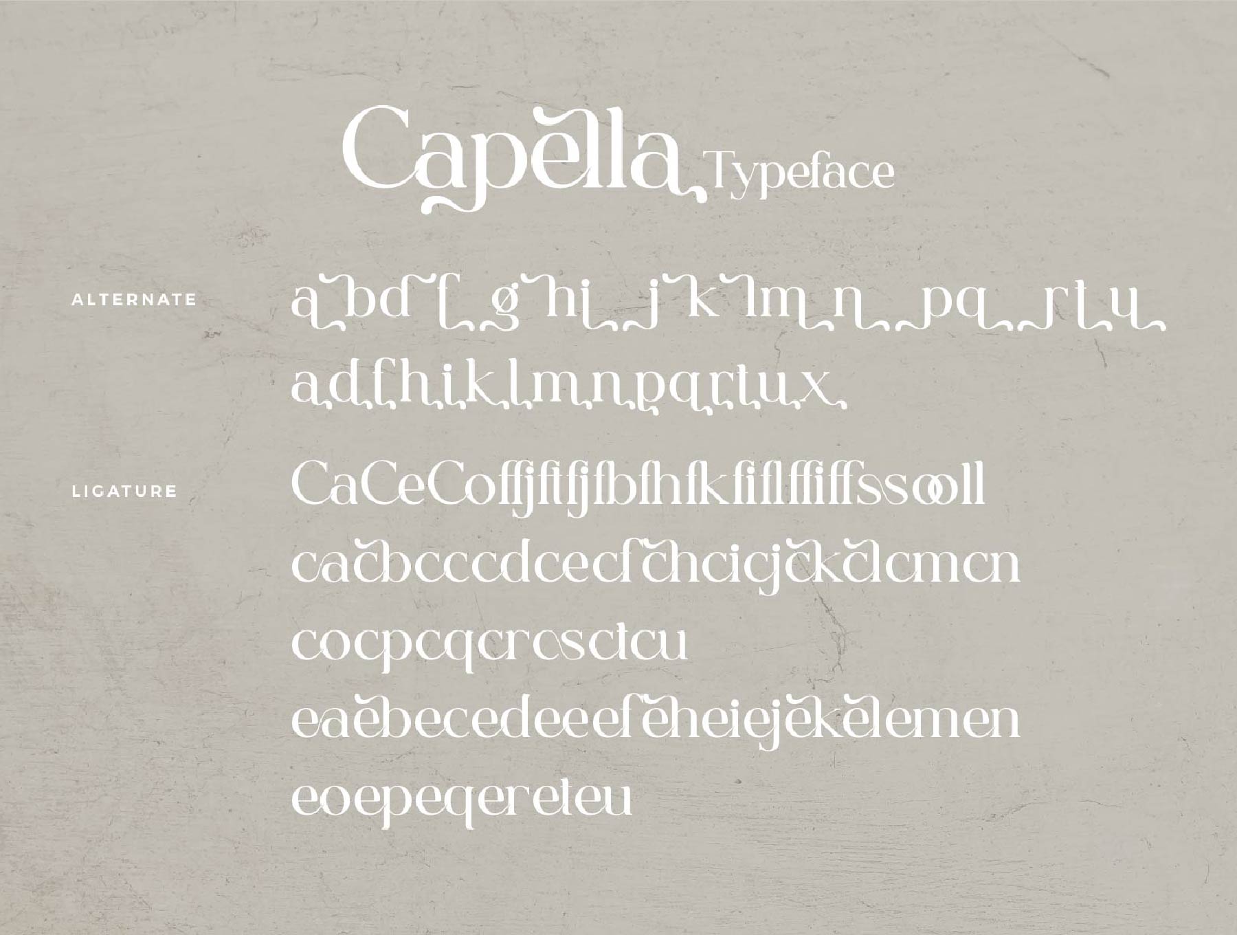 Capella时尚的连字衬线字体 Capella psd, ai, ttf, otf格式-字体-到位啦UI